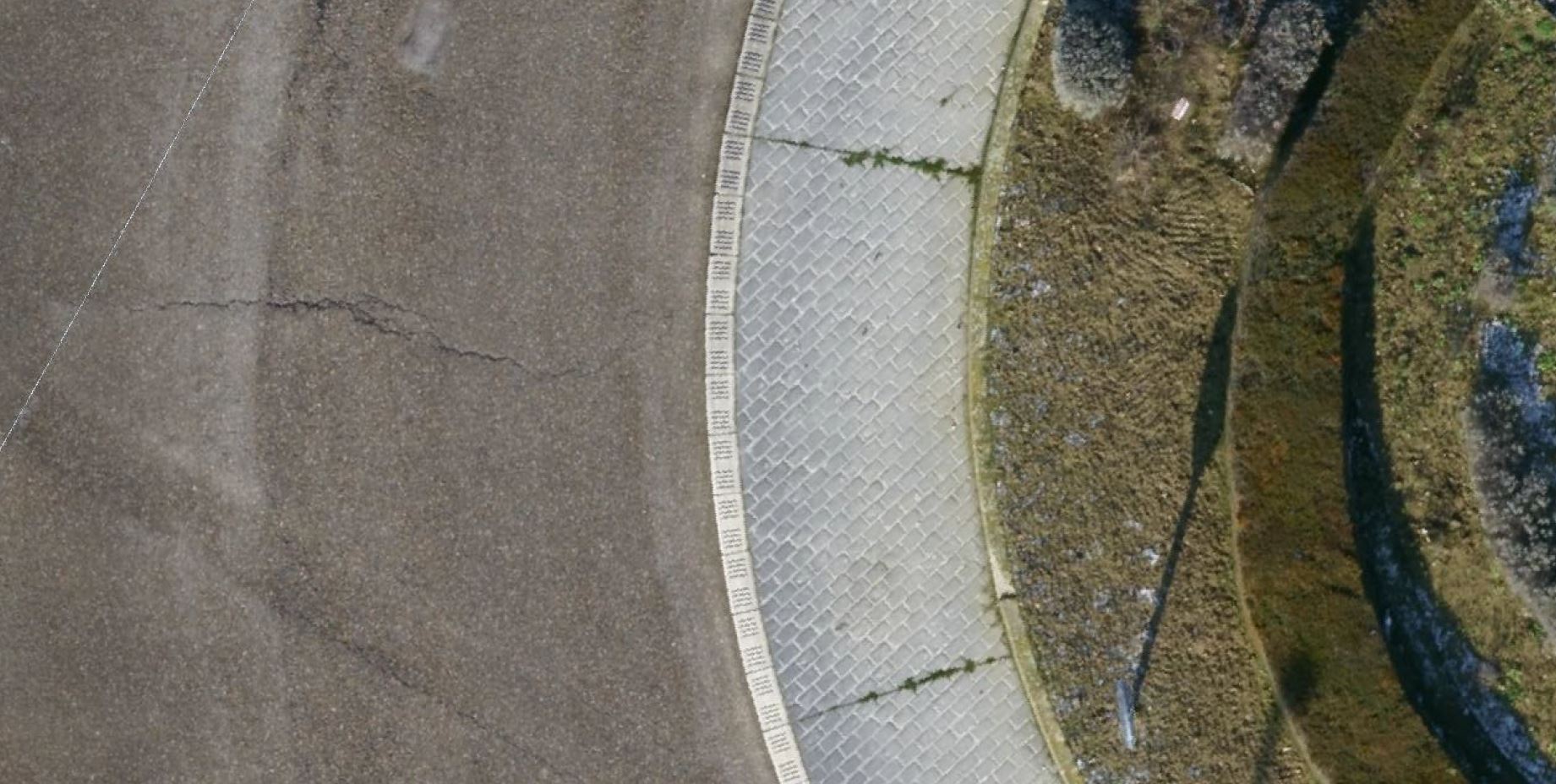 orthophoto